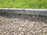 image of grave number 344091